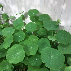 Meet your Posher, Ellie